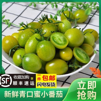 青口蜜圣女果绿色小番茄新鲜绿千禧超甜即食小柿子孕妇生吃图3