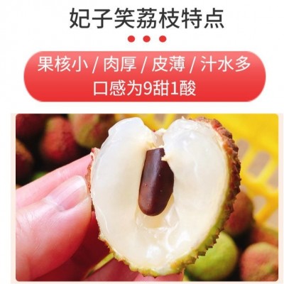 现货】海南荔枝 妃子笑荔枝 白糖罂 桂味无核荔枝王新鲜 顺丰无痕图4