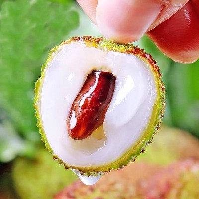 现货】海南荔枝 妃子笑荔枝 白糖罂 桂味无核荔枝王新鲜 顺丰无痕图2