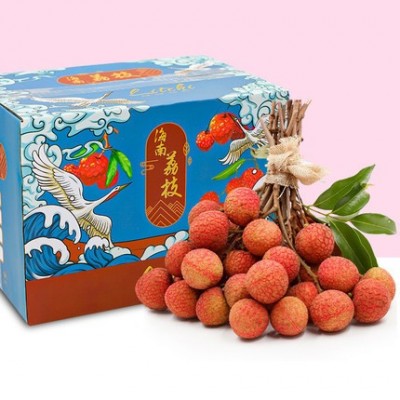现货】海南荔枝 妃子笑荔枝 白糖罂 桂味无核荔枝王新鲜 顺丰无痕