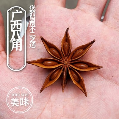 香料批发花椒八角桂皮香叶卤肉干杂调料孜然桂皮肉蔻小茴香500g装图3