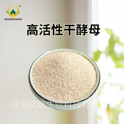 厂家销售 高活性干酵母饲料酵母菌水产动物家禽反刍适用 量大价优