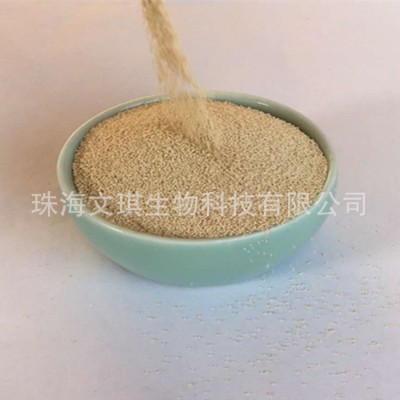 厂家销售 高活性干酵母饲料酵母菌水产动物家禽反刍适用 量大价优图2