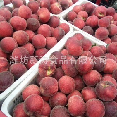 速冻红桃丁10*10mm潍坊新涛食品（资质工厂、常年加工）图3