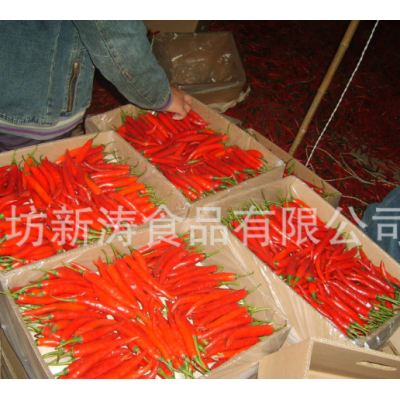 出口保鲜辣椒潍坊新涛食品（基地种植、厂家直供）
