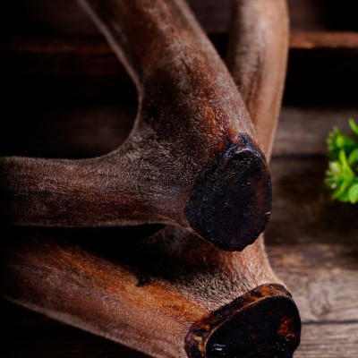 吉林鹿乡干鹿茸整枝双阳鹿乡产地整枝干鹿茸电商供货鹿茸厂家直卖图3