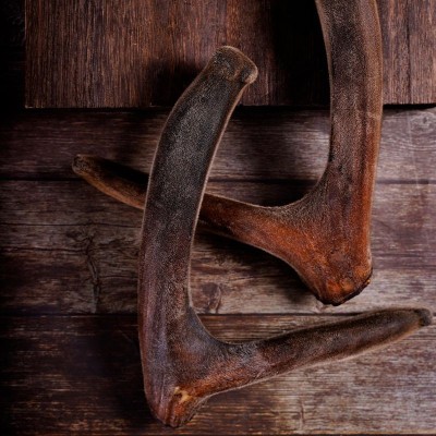吉林鹿乡干鹿茸整枝双阳鹿乡产地整枝干鹿茸电商供货鹿茸厂家直卖图4