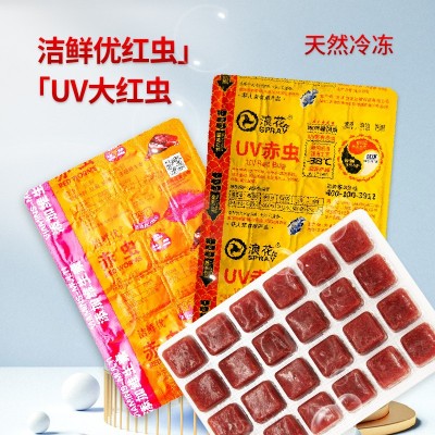 【浪花红虫】冷冻大红虫热带通用鱼食观赏鱼饲料冰冻红虫工厂批发图2