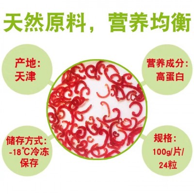 浪花鱼饲料冷冻红虫牛心汉堡冰冻红线虫小型热带鱼鱼粮工厂批发图2