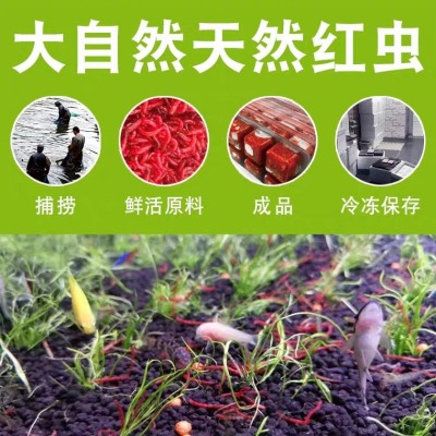 浪花鱼饲料冷冻红虫牛心汉堡冰冻红线虫小型热带鱼鱼粮工厂批发图3