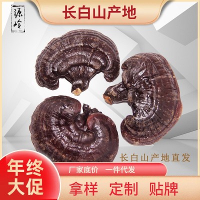 源头批发灵芝 长白山紫灵芝 半灵芝 东北特产整朵灵芝500 克左右