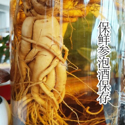 厂家直供长白山人参批发东北特产规格齐全泡酒参保鲜参产地供应图2