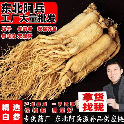 吉林直销白参长白山人参生晒参过检低农残东北特产干人参批发图2