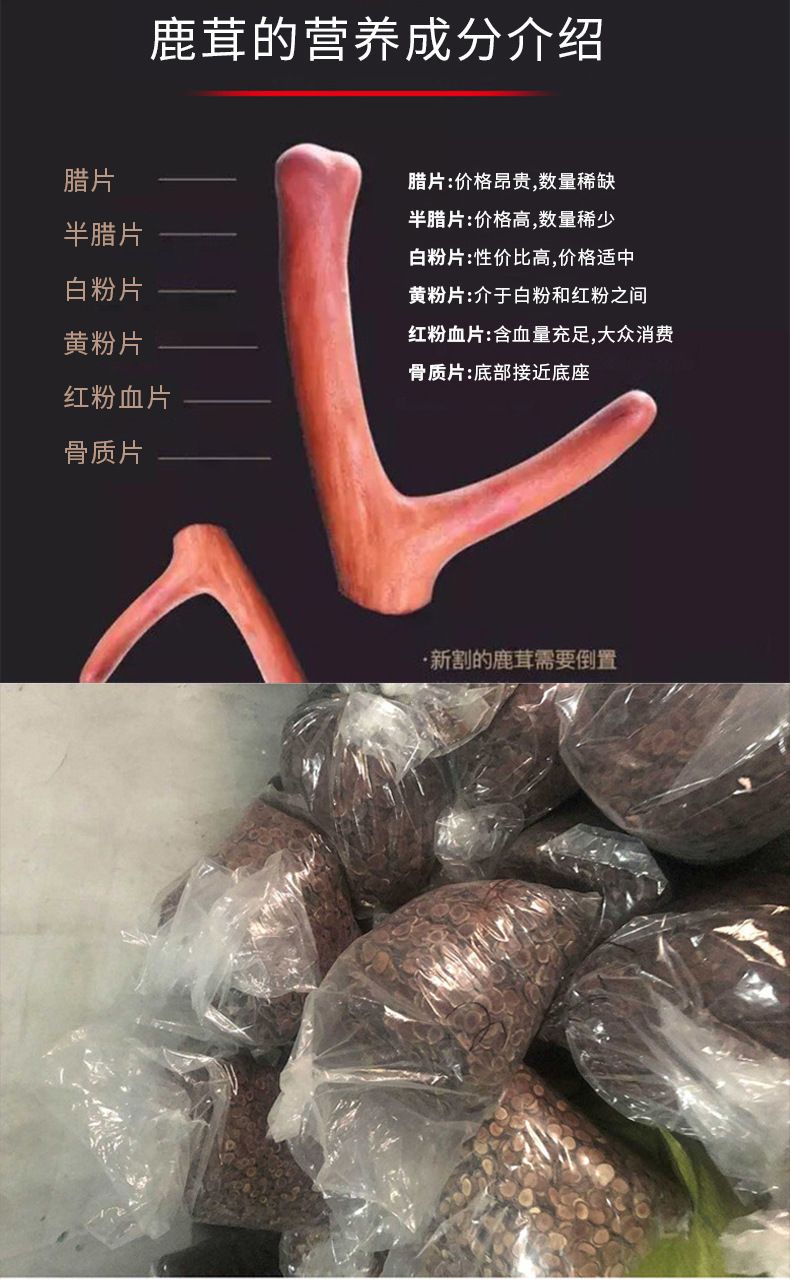 24鹿茸腊片详情06_02.jpg