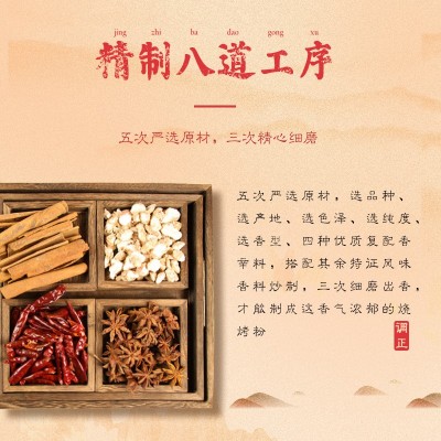 调正烧烤专用调料烤肉撒料烤鱼油炸串串家用烤鸡翅腌料复合调味料图4