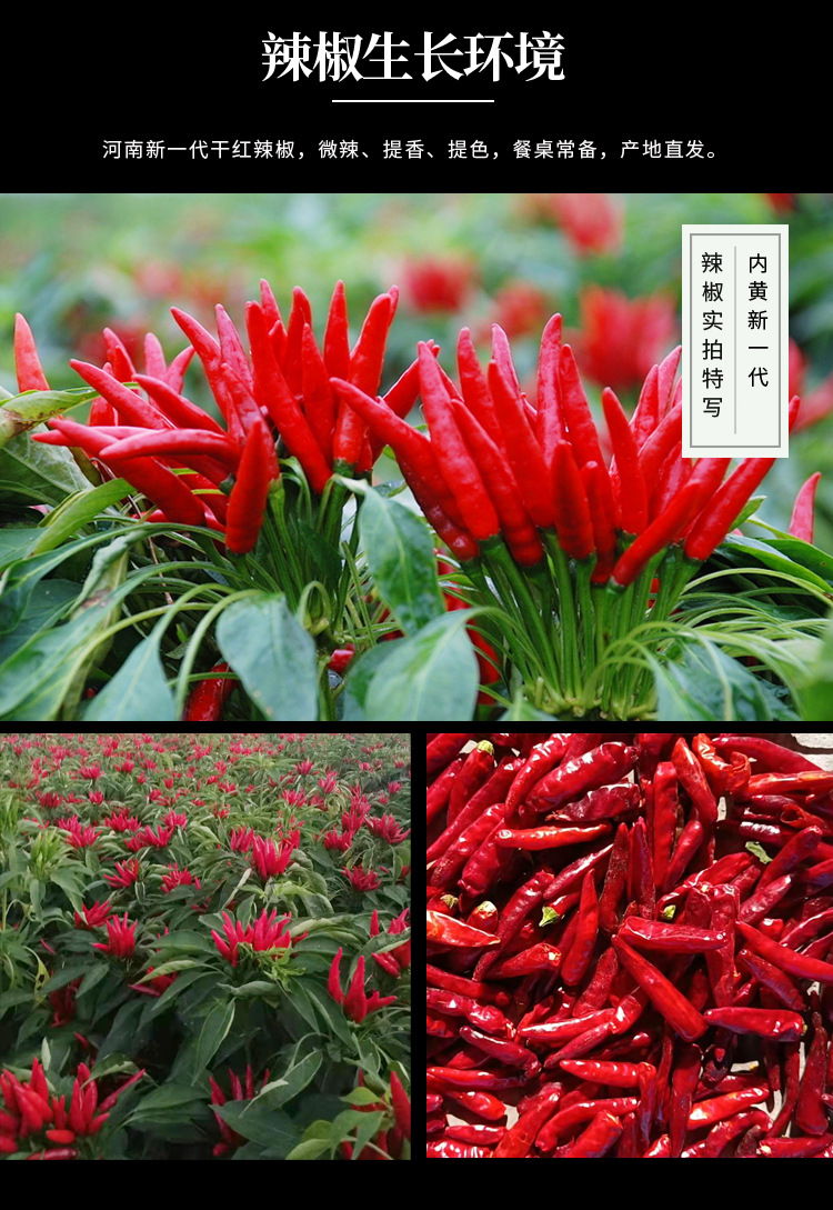 河南新一代-辣椒详情页_03