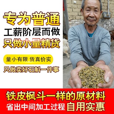 康顺堂霍山石斛寸金 霍山铁皮石斛寸金干条批发 野外种植铁皮枫斗图2