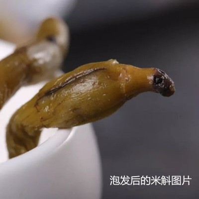 米斛干条康顺堂霍山米石斛寸金10克 6年野外枫斗非铁皮石斛烤条图4