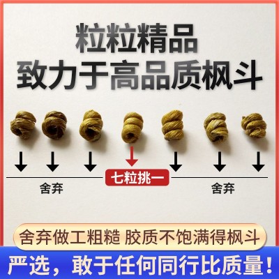 5年野外铁皮石斛胶质 霍山散装铁皮枫斗批发有机新鲜石斛S C代加工图2