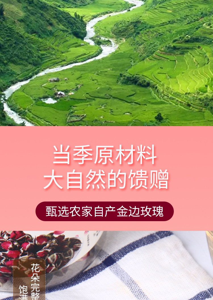 金边玫瑰_03