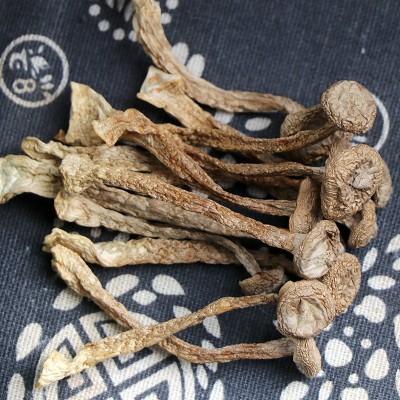 鹿茸菇鹿茸菌干货 新货无熏硫整件批发餐饮火锅煲汤新鲜脆菇图2