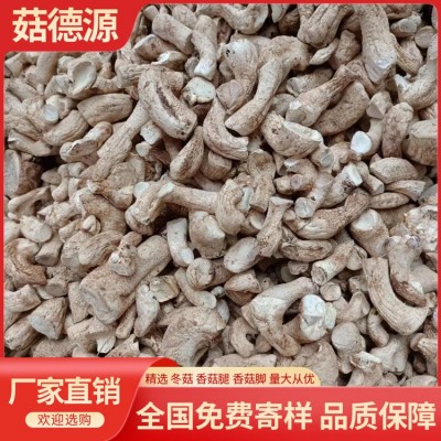 精选1号双剪香菇脚香菇腿25KG丝柄把大量批发DRIED MUSHROOM STEM图4