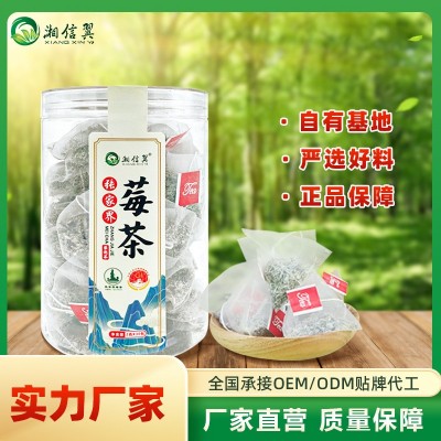 张家界莓茶 芽尖龙须莓茶三角包 60g罐装袋泡