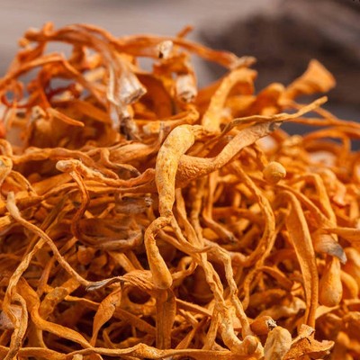 福建古田特产虫草花500g蛹虫草散装食用菌干货北冬虫夏草现货批发图3