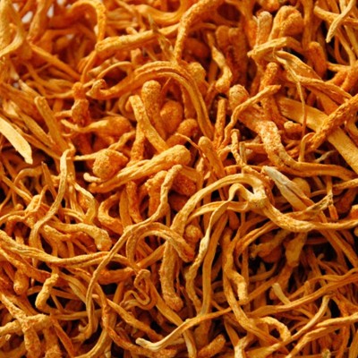 福建古田特产虫草花500g蛹虫草散装食用菌干货北冬虫夏草现货批发图5
