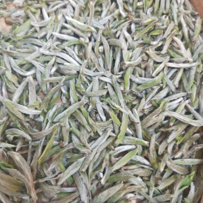 春茶白茶明前茶叶全芽头福建白茶白毫银针500g