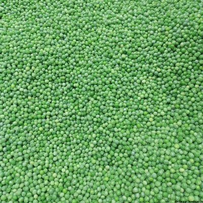 青豆速冻豌豆方便快餐食材配菜批发速冻冷冻蔬菜中豌25kg包装吨批图3