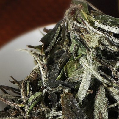 原生有机茶庄云南大叶种白茶茶饼180g 厂家现货高山贡眉茶饼批发图4