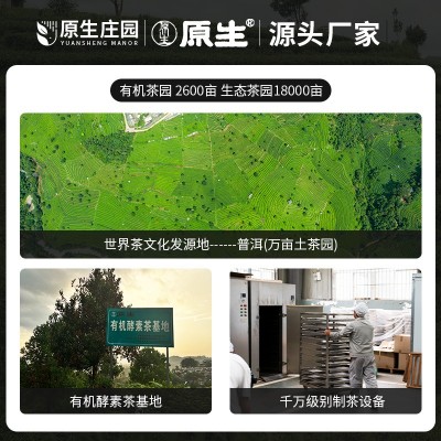 原生茶庄有机黄金茶云南大叶种茶商用黄金茶袋装香气足叶厂家批发图2