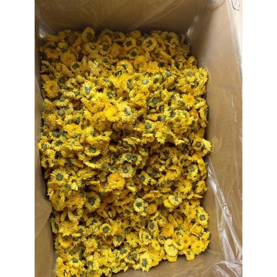 新花婺源皇菊 散装批发 一朵一杯大黄菊金丝皇菊散货图2