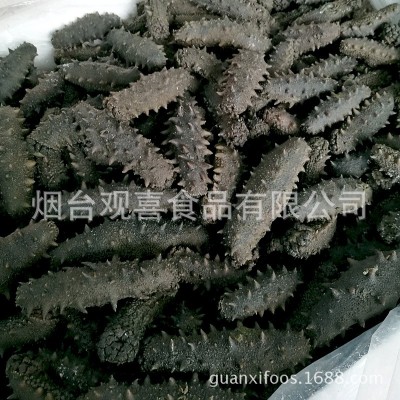 西海拉缸盐海参顶火 大火候盐渍海参腌渍海参批发 一手货源图5