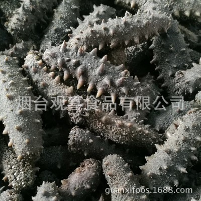 西海拉缸盐海参顶火 大火候盐渍海参腌渍海参批发 一手货源图4