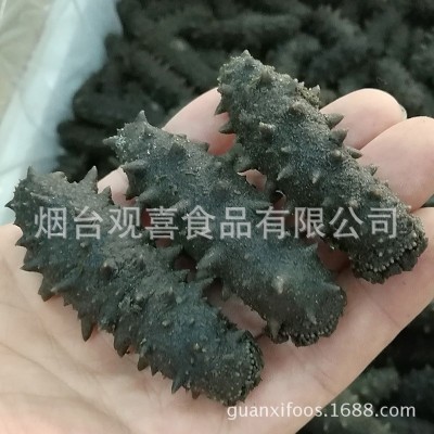 西海拉缸盐海参顶火 大火候盐渍海参腌渍海参批发 一手货源图3