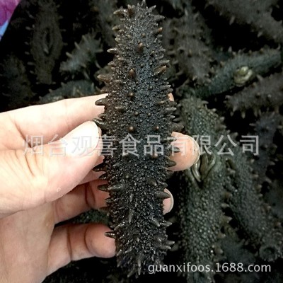 东海顶火拉缸盐海参高刺 盐渍海参 大火候拉缸盐腌渍海参批发图2