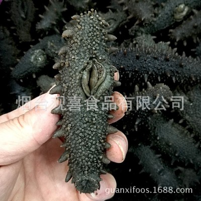 东海顶火拉缸盐海参高刺 盐渍海参 大火候拉缸盐腌渍海参批发图3