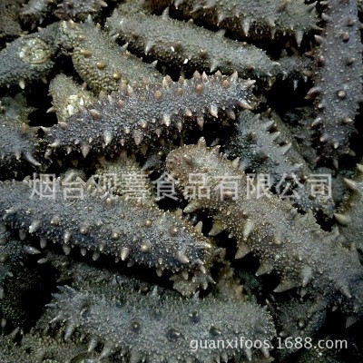 东海顶火拉缸盐海参高刺 盐渍海参 大火候拉缸盐腌渍海参批发图4