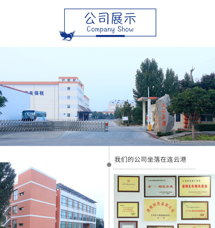 公司展示_01