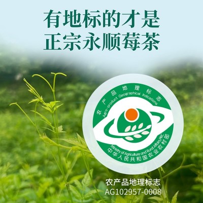 忆江南茶叶永顺莓茶特级湖南野生芽尖铁罐50g原产地标图5