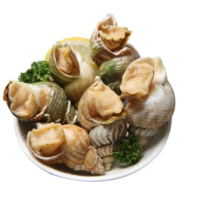 白螺 北蛾螺 新鲜冷冻海螺 北峨螺 翡翠螺 海鲜水产海螺肉 10kg图5