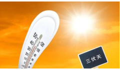 再贵也要买！夏天，这4种蔬菜农残几乎为“0”，可惜很多人不懂