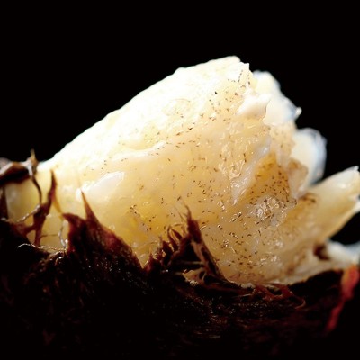 大闸蟹螃蟹阳澄湖镇发货中秋节教师节国庆节鲜活蟹礼盒团购代理图4