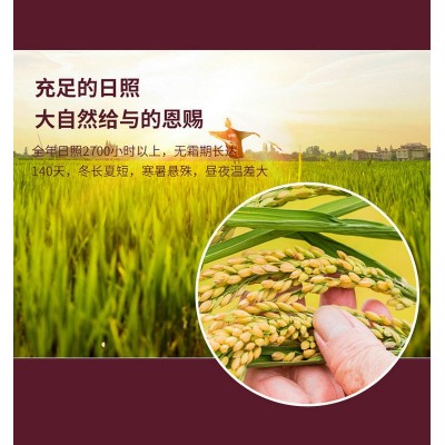 新米东北蟹稻米5kg/袋 蟹稻共生珍珠米东北大米10斤一件代发图2