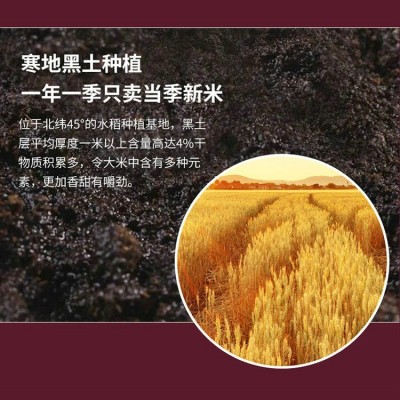 新米东北蟹稻米5kg/袋 蟹稻共生珍珠米东北大米10斤一件代发图3