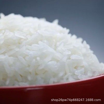 东北大米香稻贡米20斤每袋 大米长粒新米粳米特产农产品一件代发图3