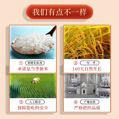 东北老农 东北鲜磨长粒香大米5斤5kg批发新米软糯香甜胚芽香米图3