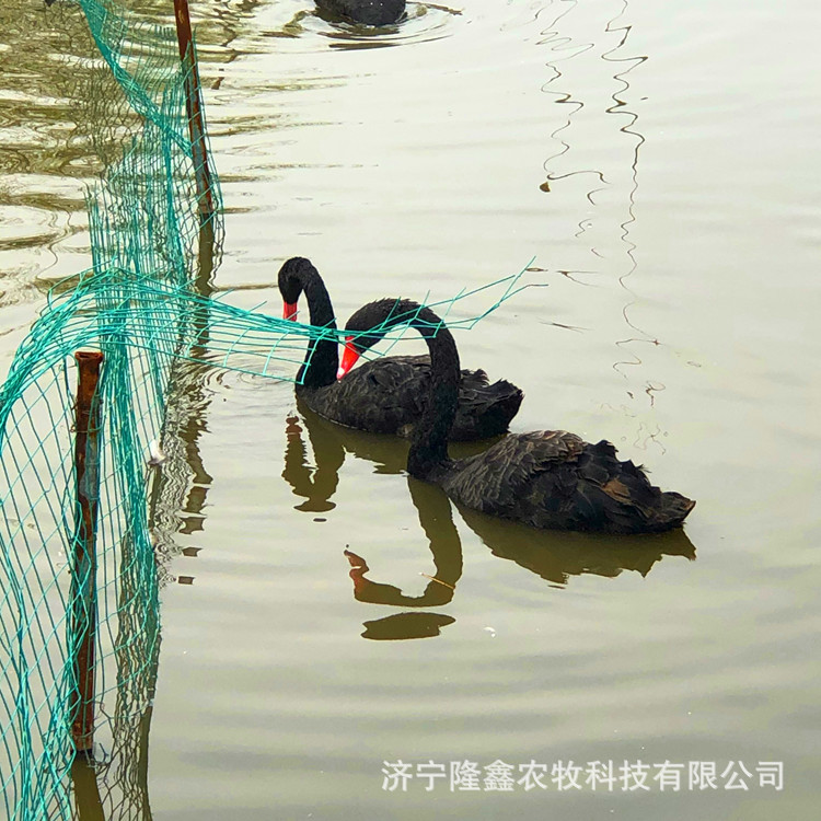 IMG_2219_副本.jpg